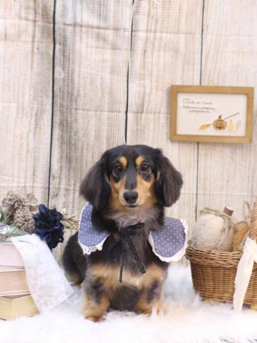 20241002ロイくん